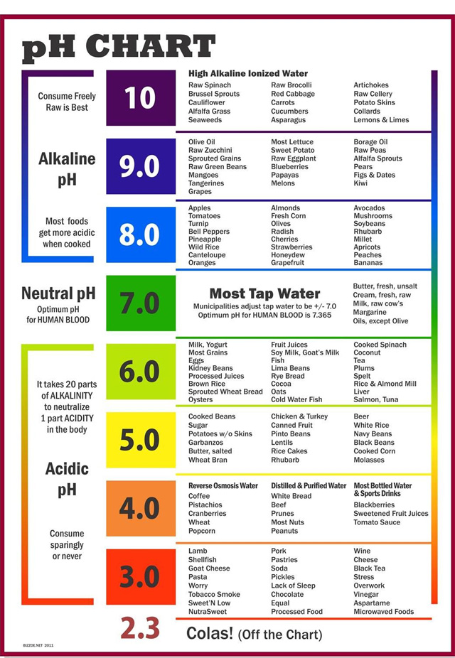 Acidity food drink chart
